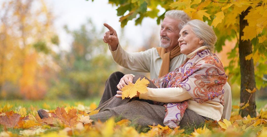 An elderly couple is sitting in the leaves under a tree.