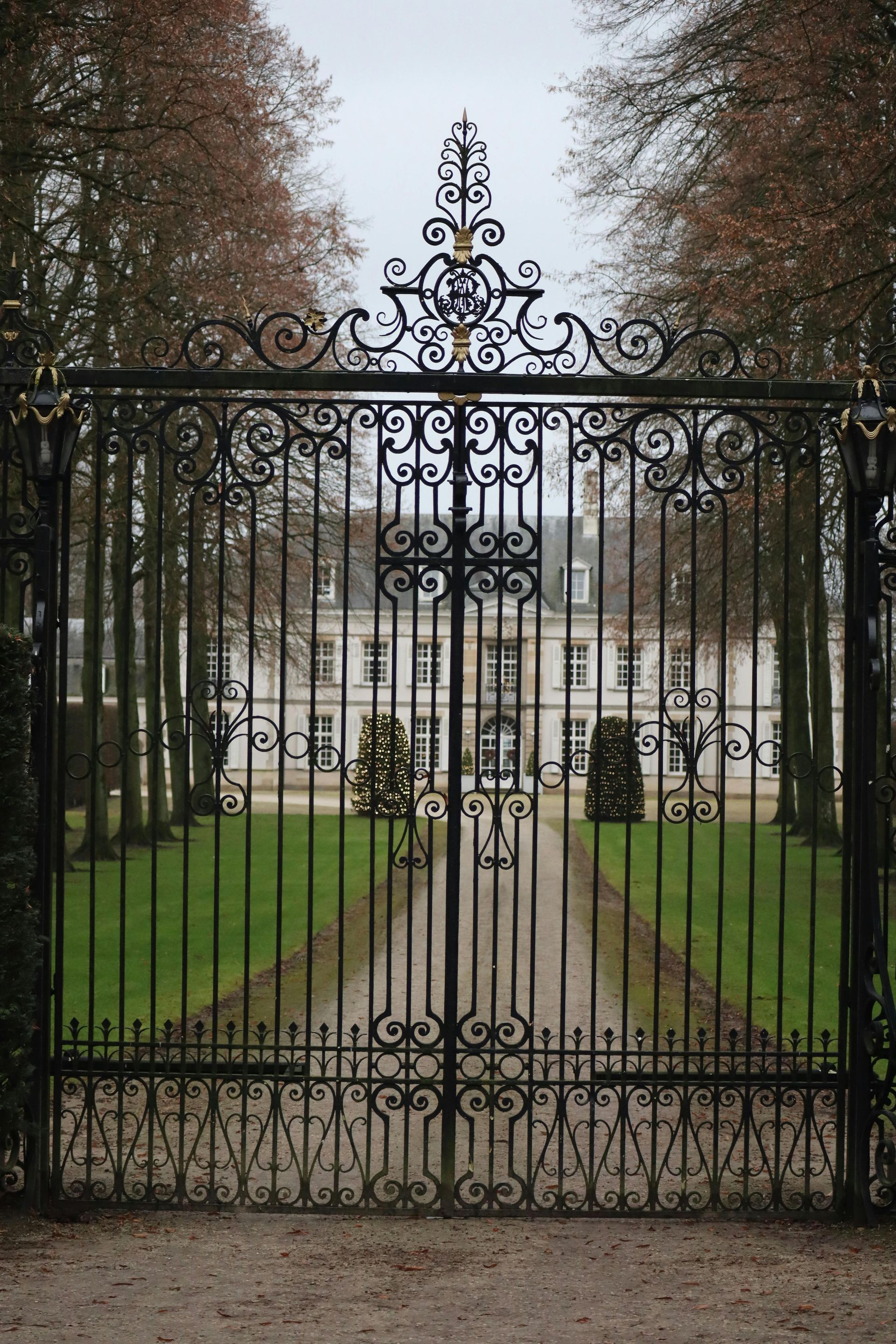 Ornate wrought iron gate with decorative scrollwork and traditional metalwork patterns