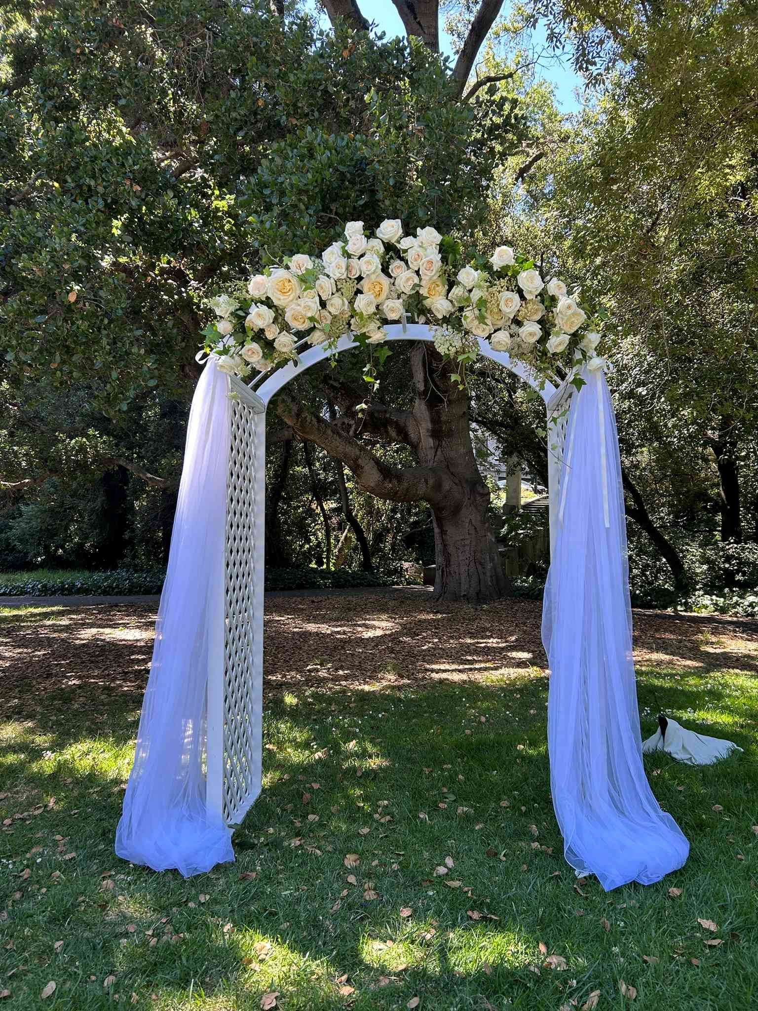 A white garden arch decorated with white flowers and fabric