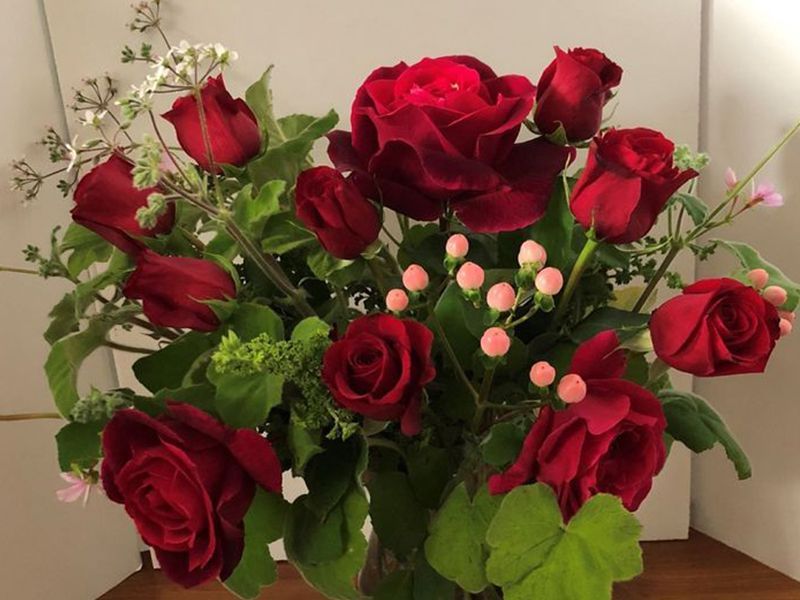 Classic Dozen Roses