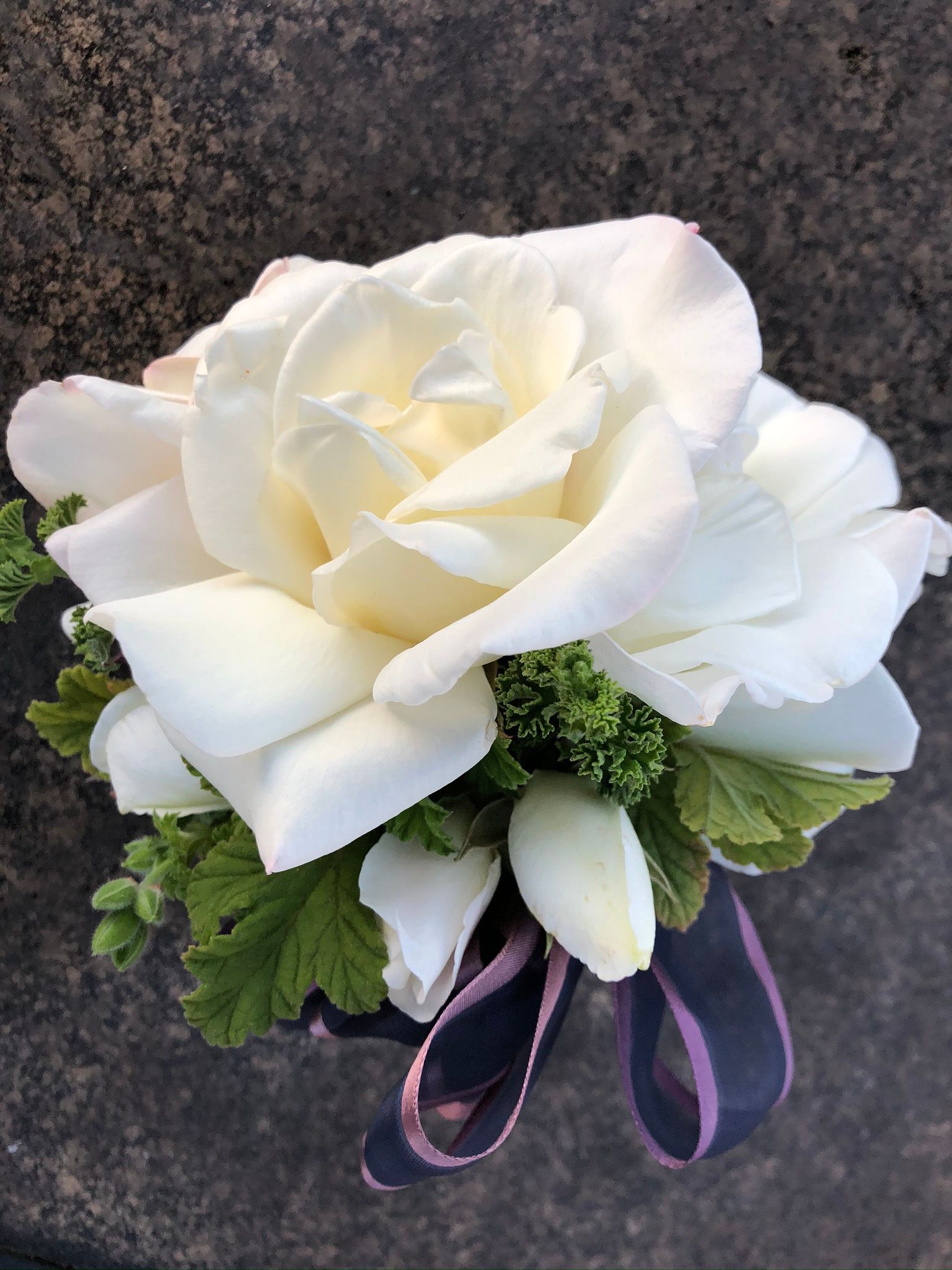 A close up of a white rose with a purple ribbon around it.