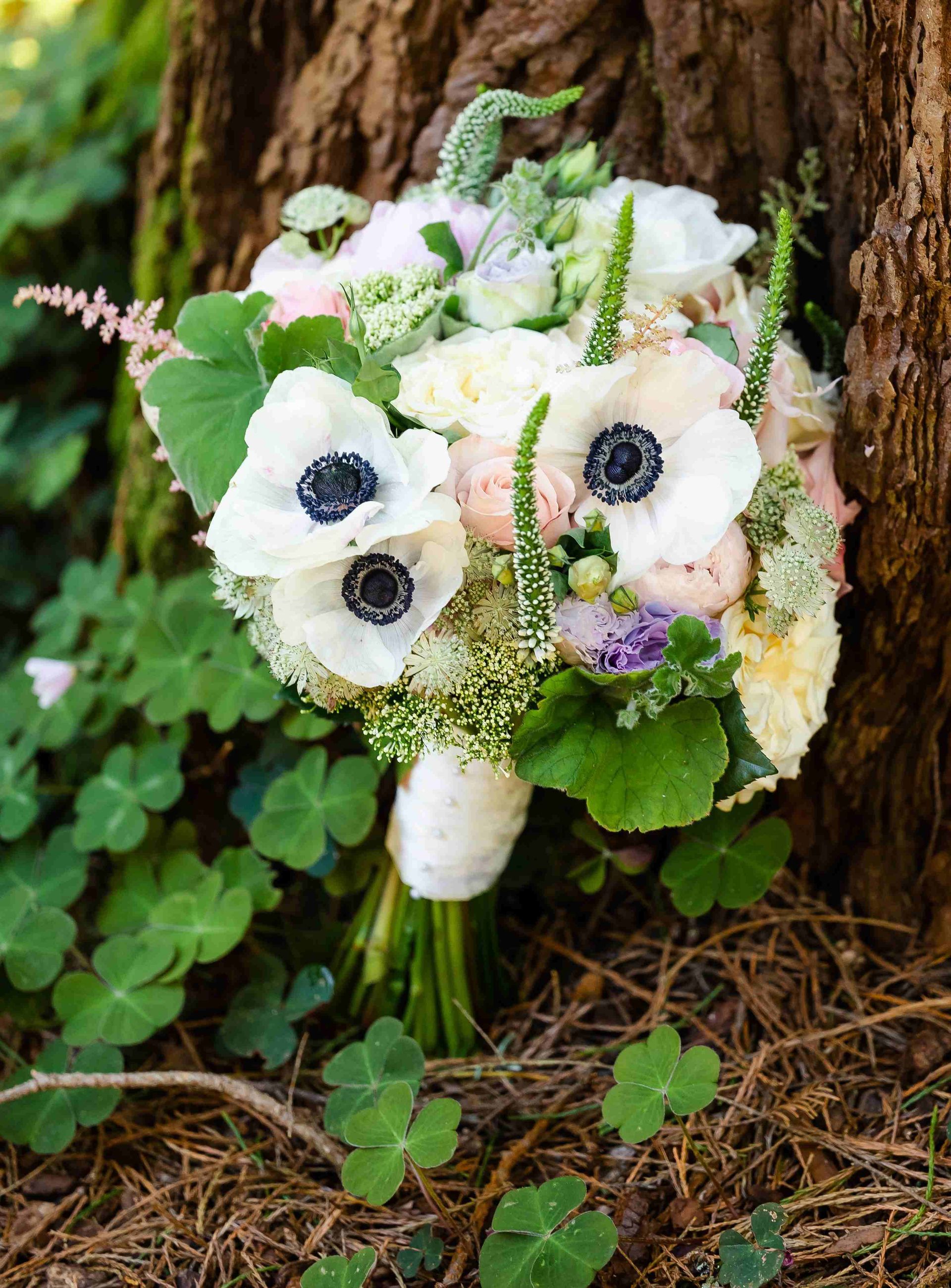 A bouquet of flowers is sitting on the ground next to a tree.