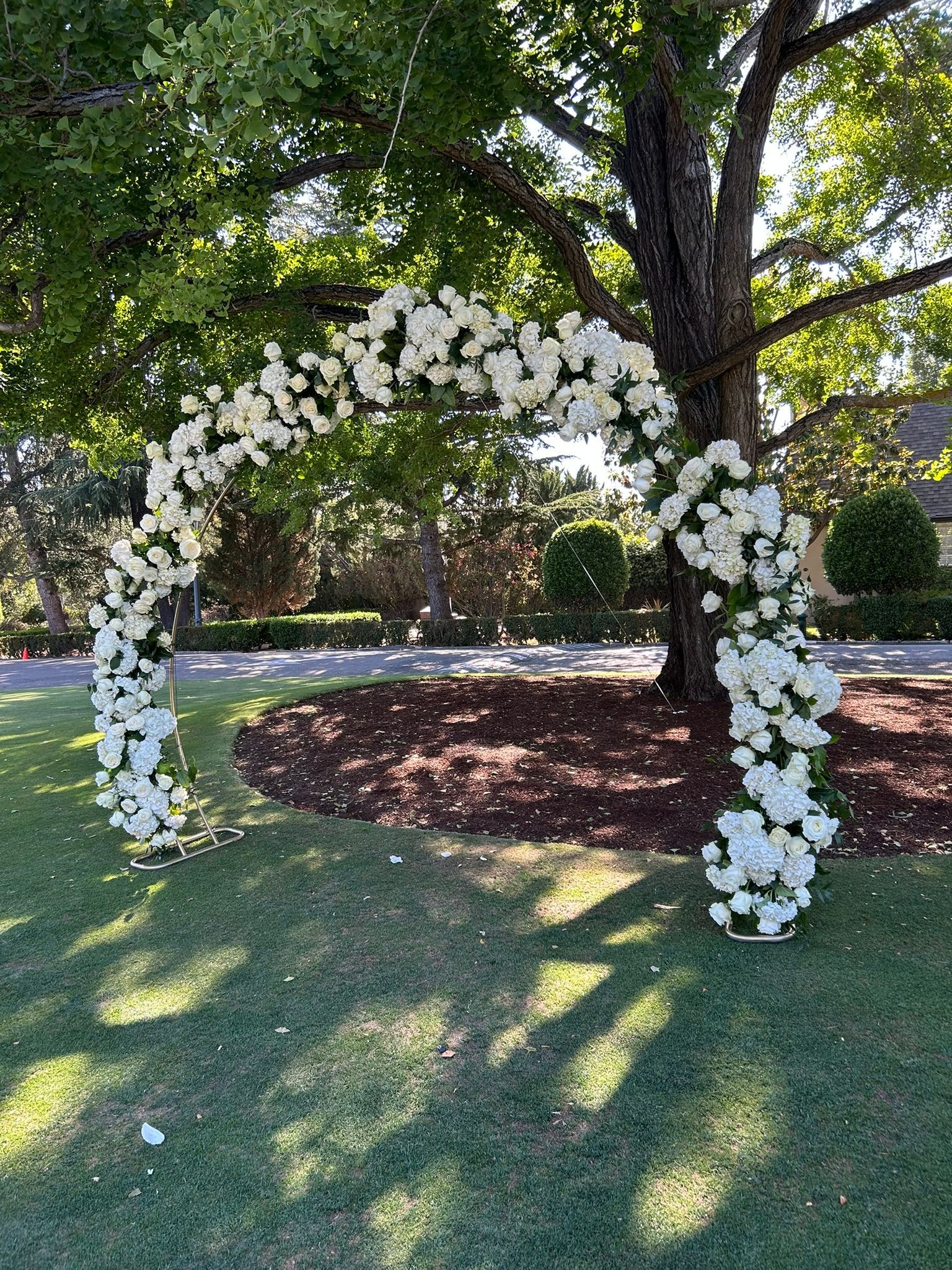 White floral arch set up outdoors under a tree, ready for a wedding ceremony.