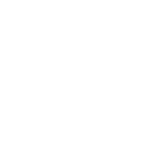 american carports logo