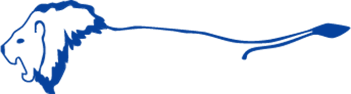 Lyon Financial