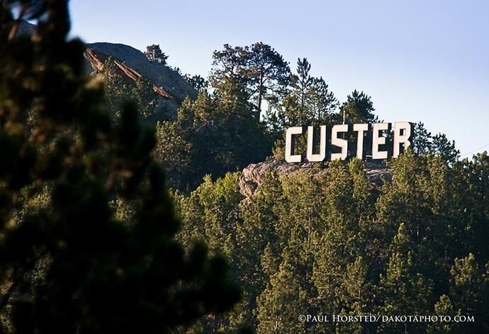 The word custer is on a rock in the middle of a forest