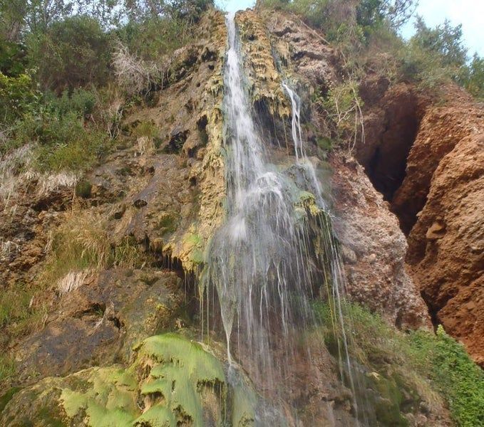 A waterfall is surrounded by trees and rocks