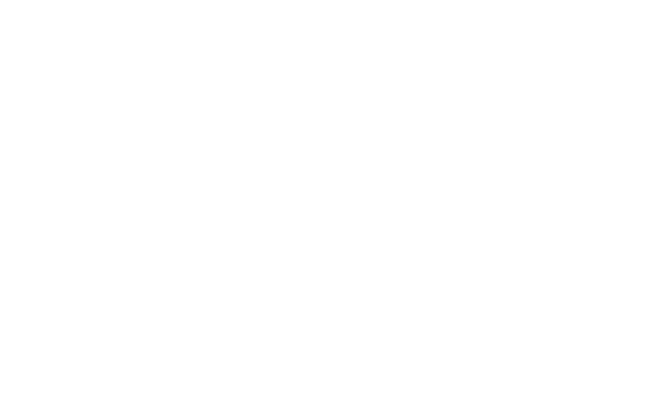 1622 Palm logo - click to go to home page
