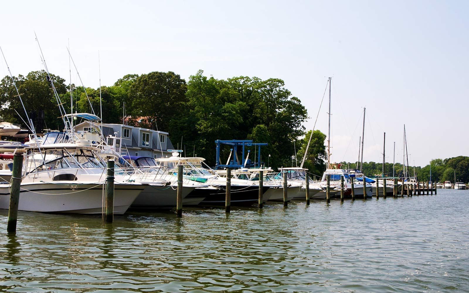 Boats docked in a row along a pier, with trees in the background, on a sunny day.