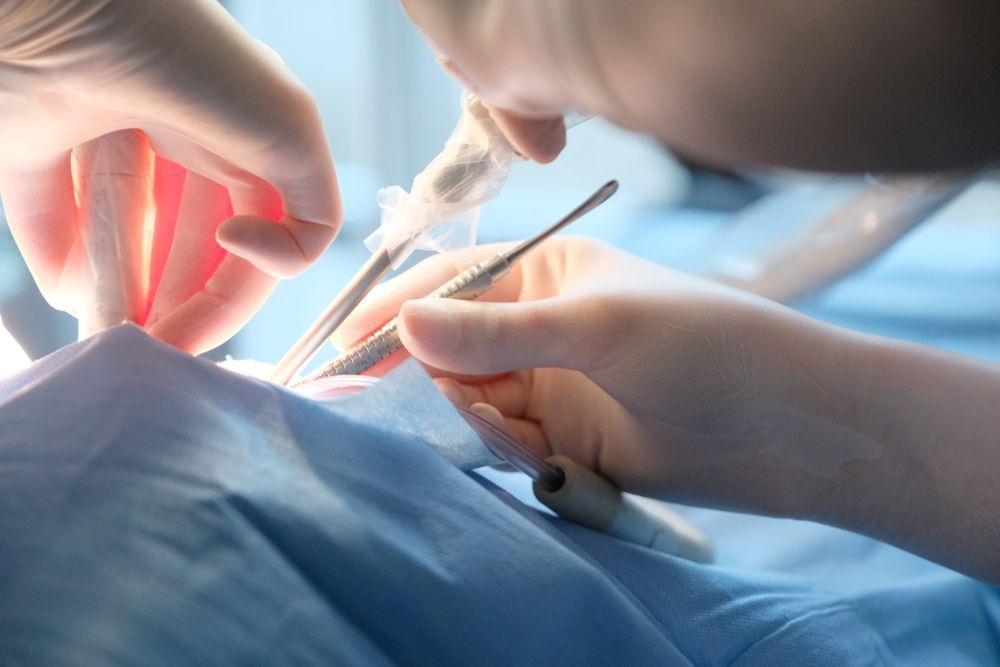 A gloved professional points to a specific area on a panoramic dental X-ray displayed on a screen.
