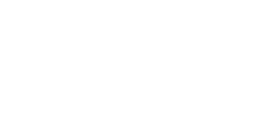 White Logo of NP Aesthetics Las Vegas