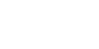 White Logo of NP Aesthetics Las Vegas