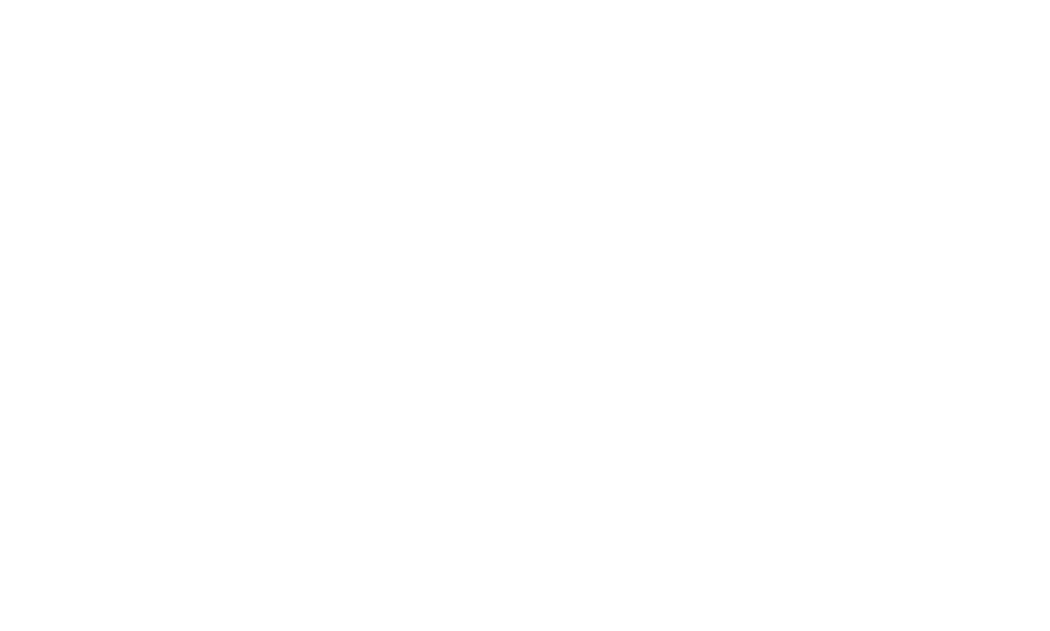 Motherland Coach logo