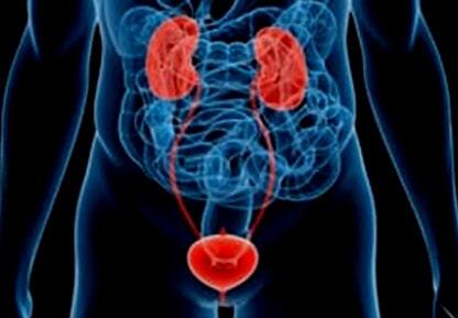 DR. ARTURO DANIEL JUÁREZ HERNÁNDEZ - ULTRASONIDO