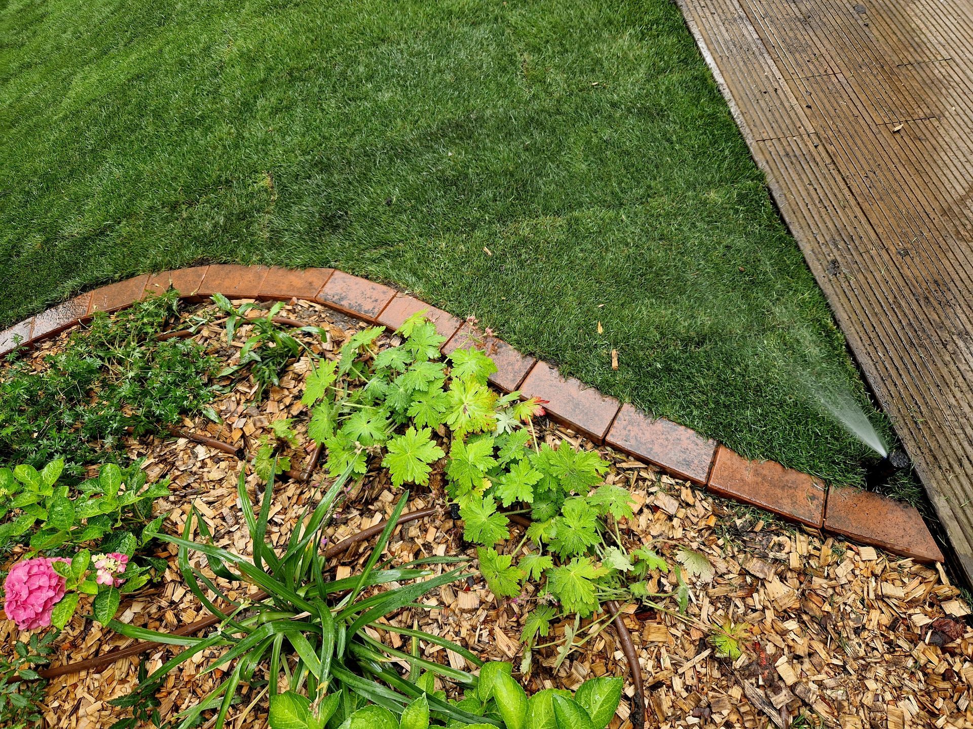 Mulched garden bed with green plants bordered by red bricks beside a grassy lawn and walkway