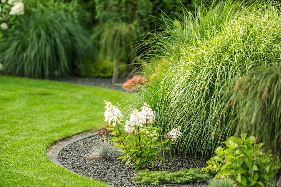 Curved garden bed with green shrubs, white flowers, and a small orange squirrel near tall grasses
