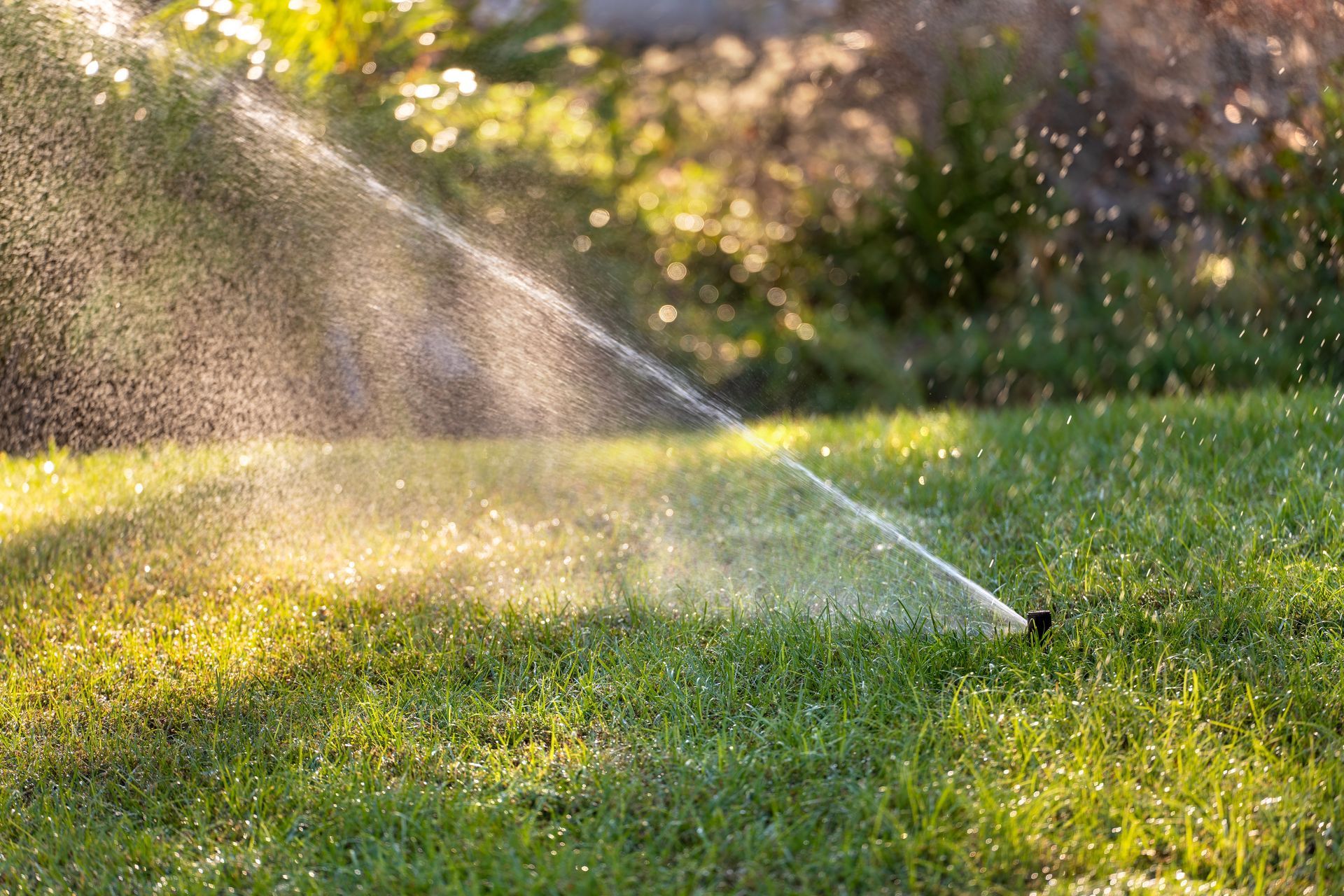 Sprinkler watering a green lawn in sunlight
