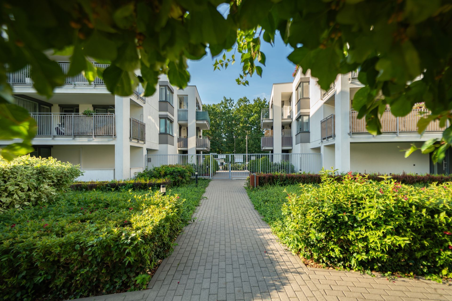Garden path between modern apartment buildings with green hedges and trees under a bright sky