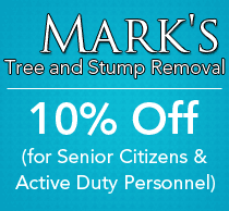 Tree trimming, pruning and removal services in Roanoke Virginia