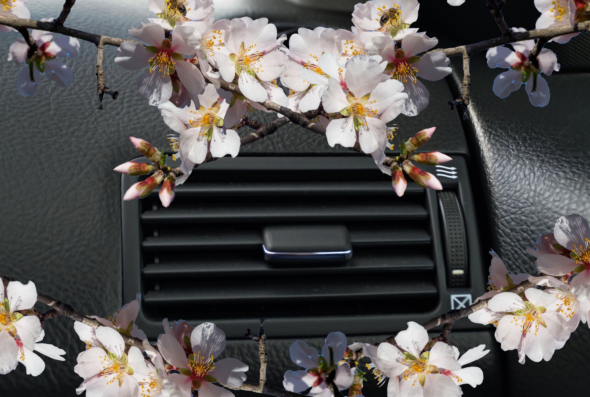 Car air vent adorned with flowering almond branches.