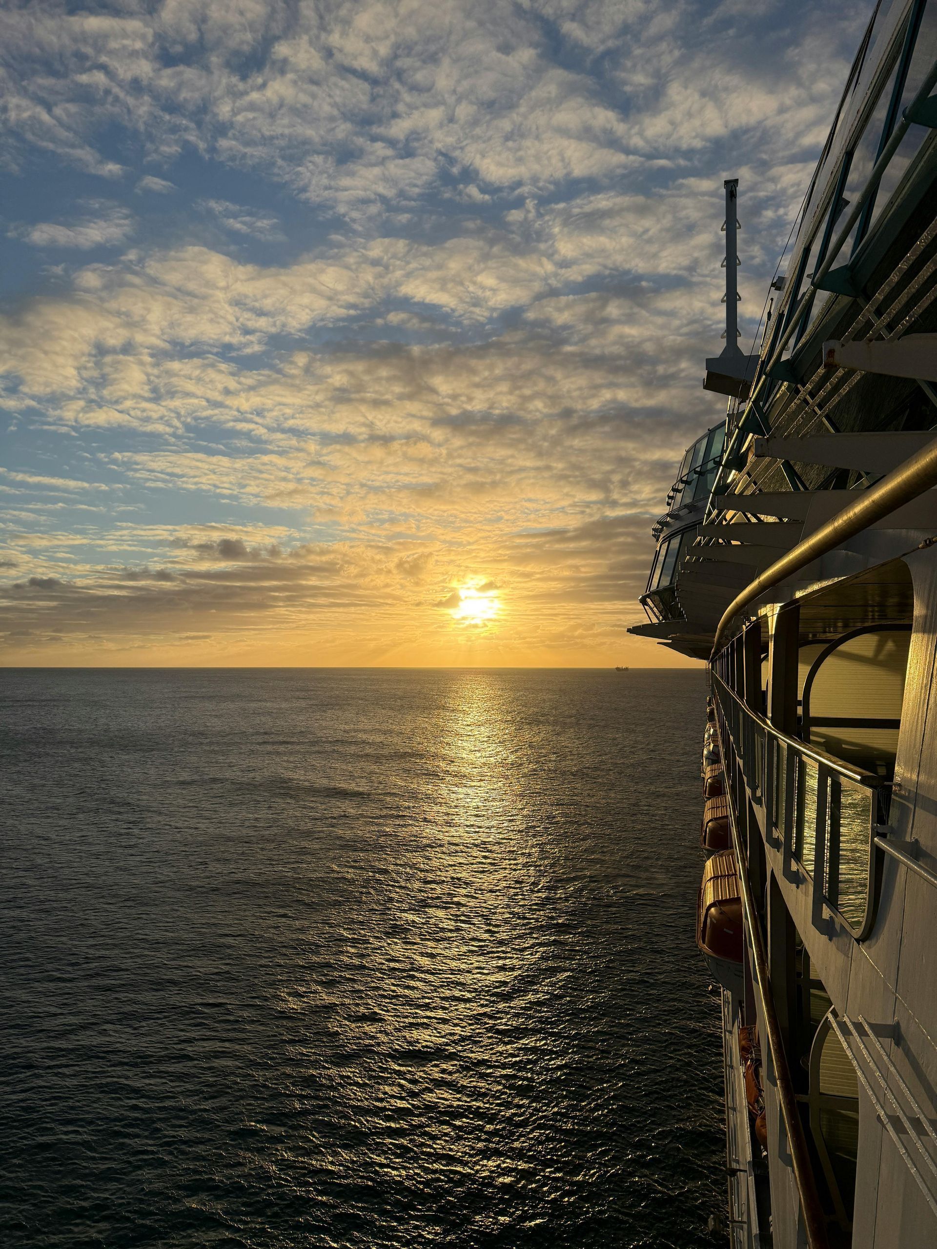 Beach scene with palm tree in foreground, cruise ship on turquoise water, bright blue sky.