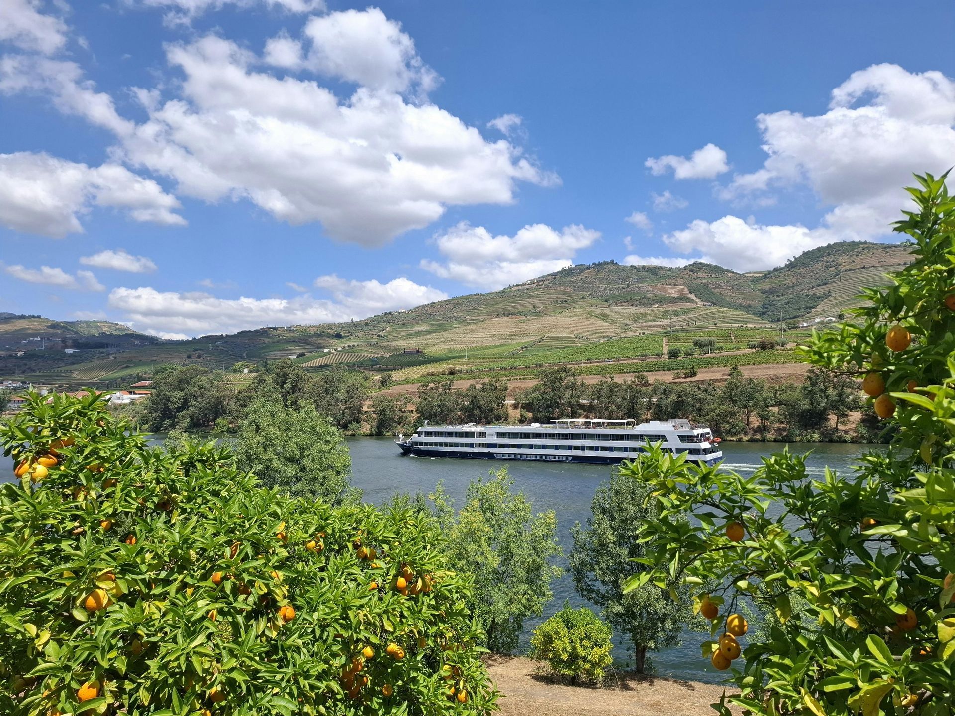 River cruise ship on river in valley, with orange trees in foreground. Blue sky, mountains in background.