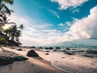 Sandy beach with palm trees, blue sky, and ocean waves.