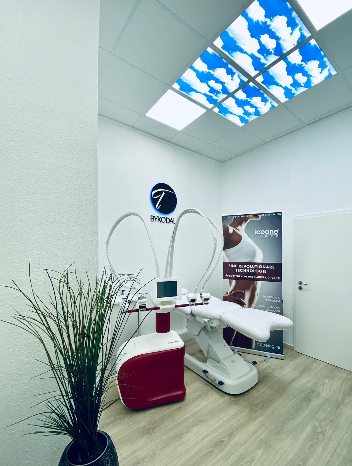 Ein Zimmer mit einem Sofa und einer Pflanze darin