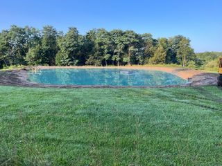 A large muddy pond surrounded by grass and trees.