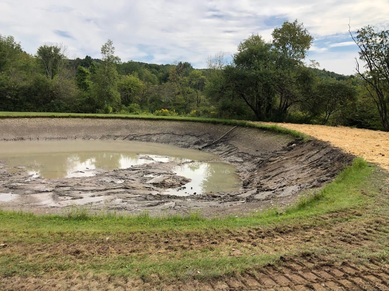 A large muddy pond surrounded by grass and trees.