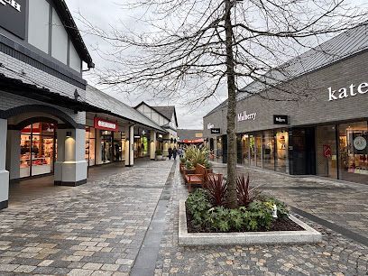 Empty outdoor shopping promenade with storefronts, wet stone pavement, and leafless trees on an overcast day