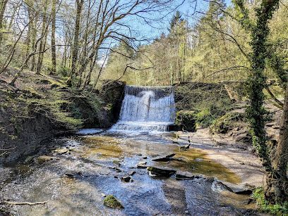 Small waterfall flowing over rocks in a wooded stream under a clear sky