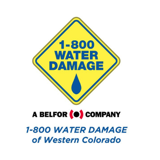 Marketing Agency Client - 1800 Water Damage