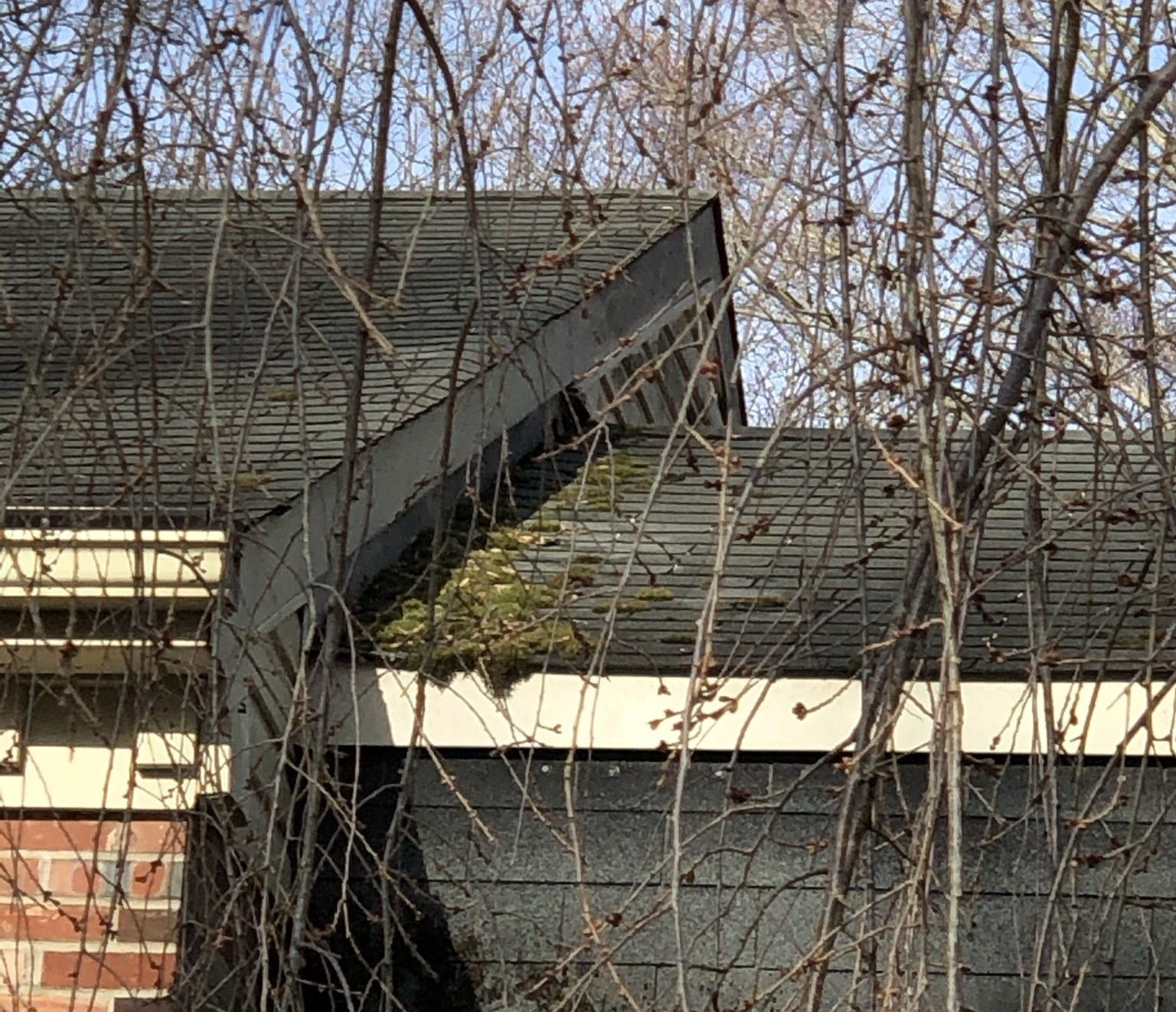 Damaged Roof