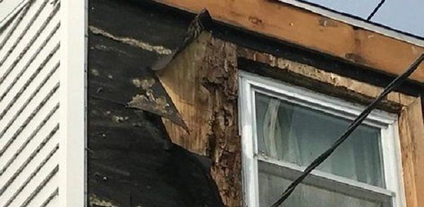 Water Damage caused by clogged gutter