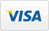 Visa logo in blue with a yellow accent.