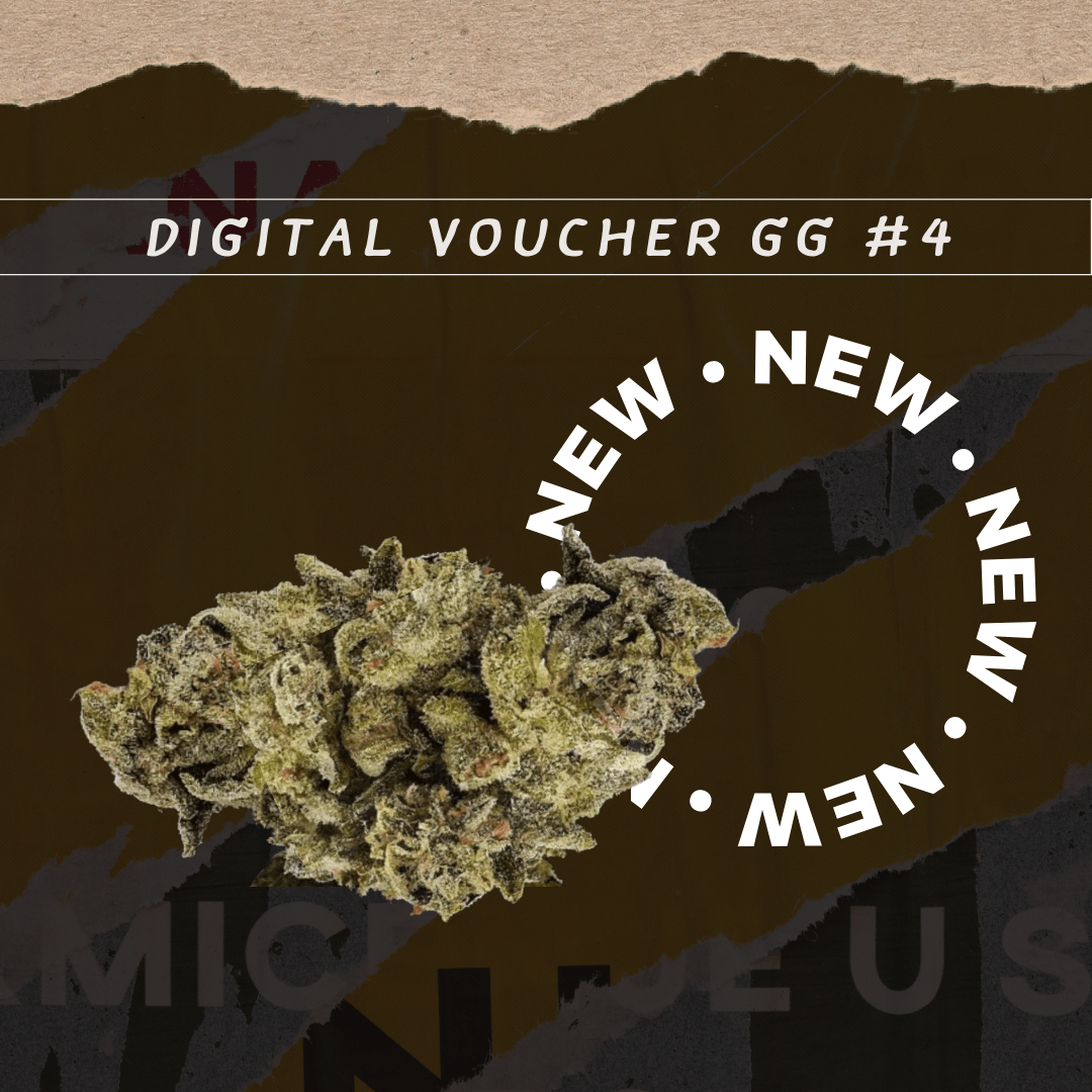 Digital Voucher GG 4