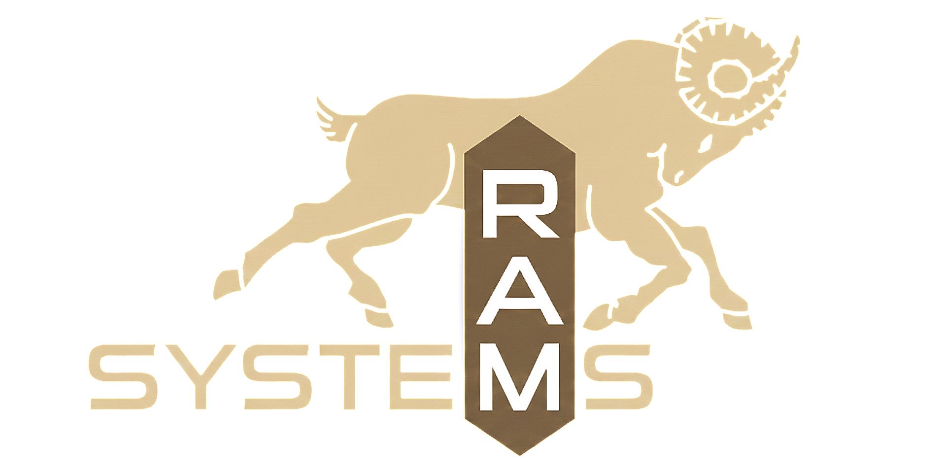 RAM SYSTEM LOGO