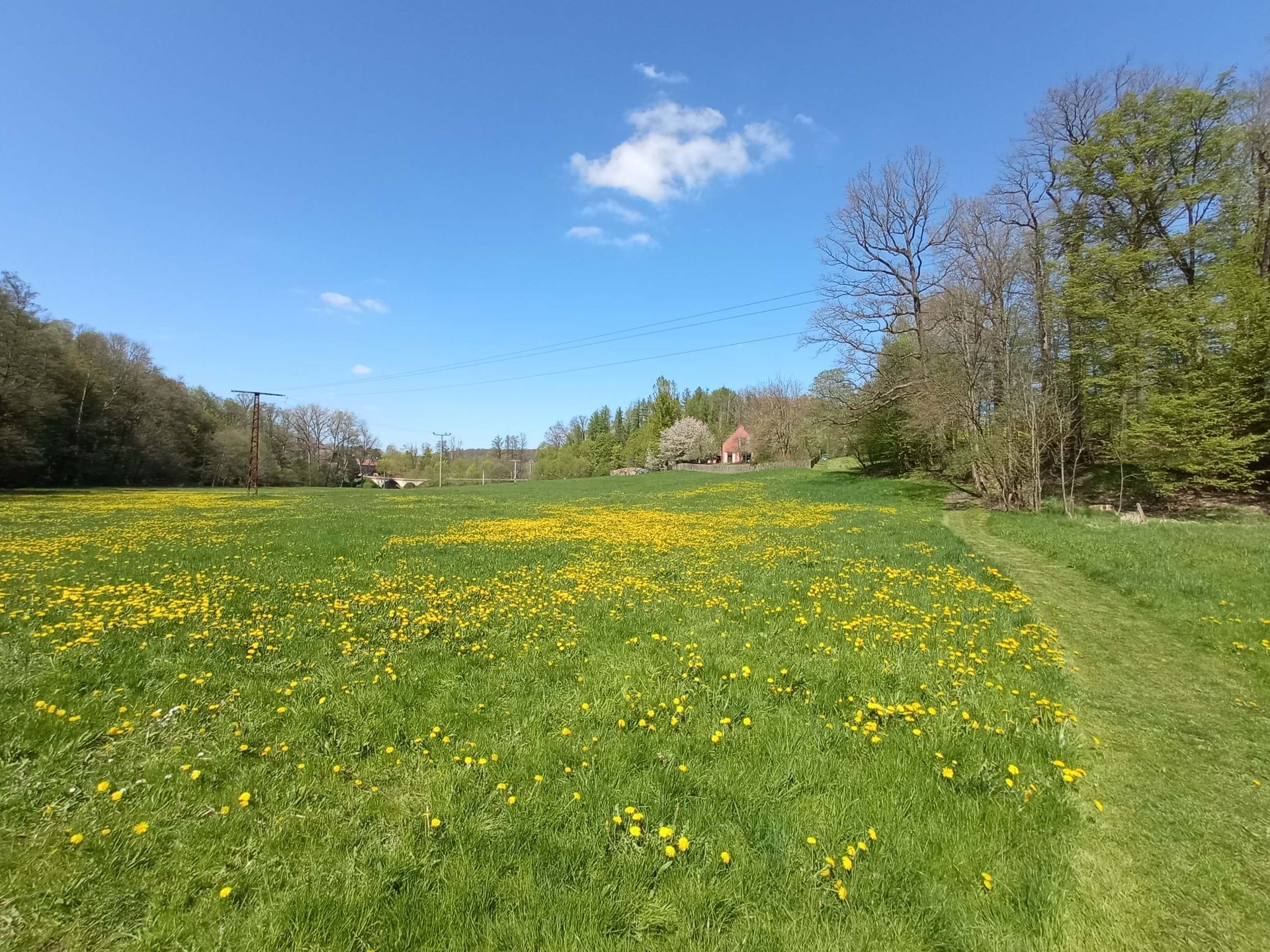 Frühling im Triebischtal