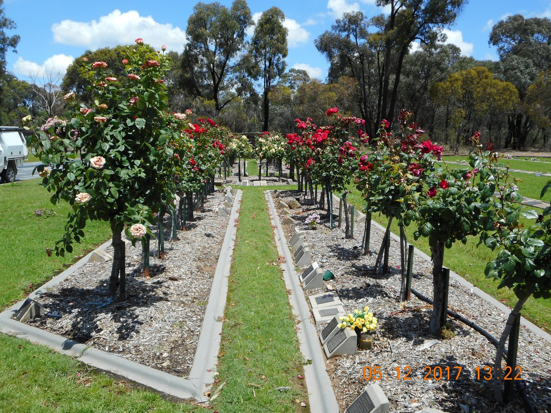 Gallery Bendigo Pumps and Irrigation
