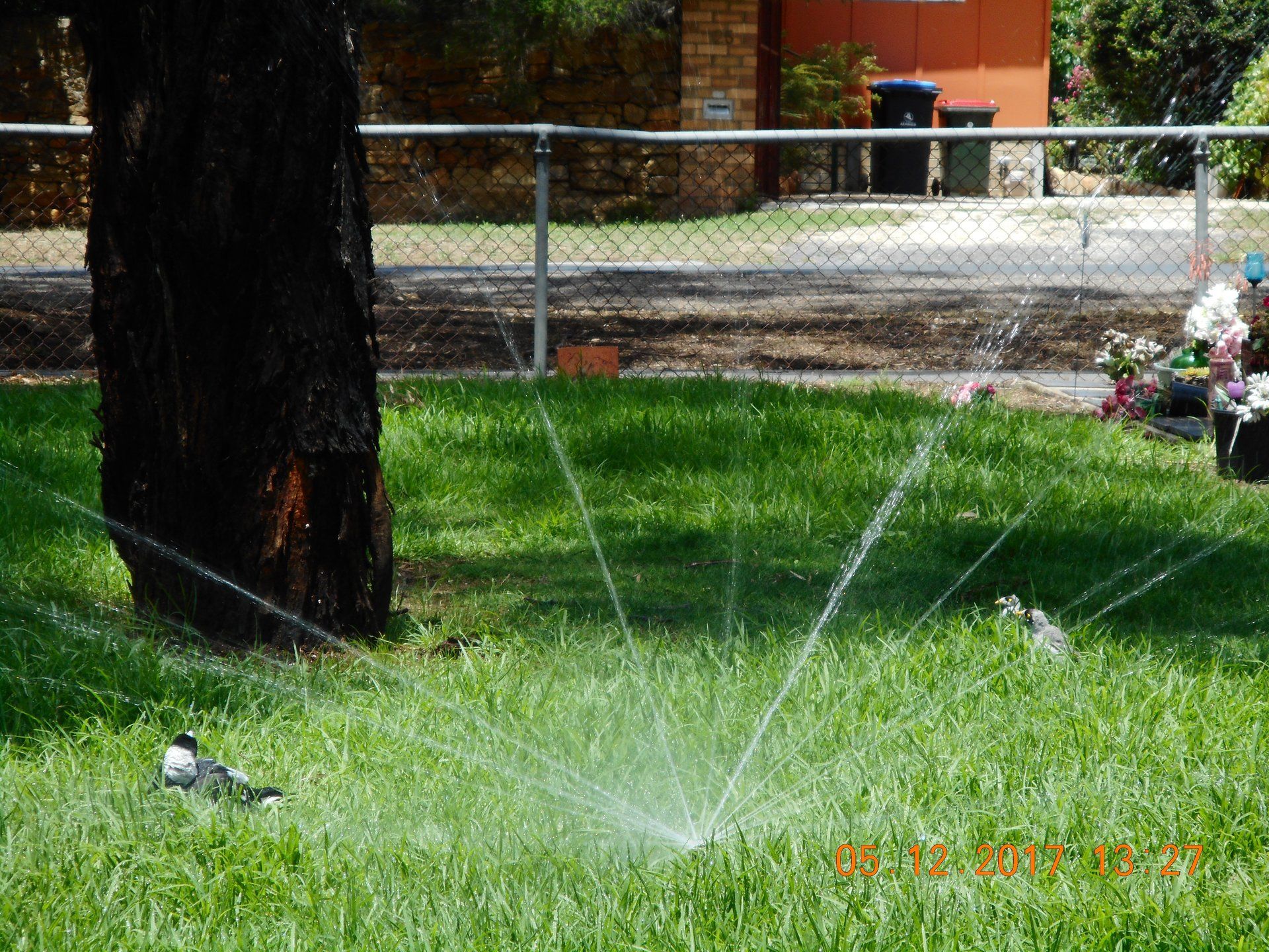 Gallery Bendigo Pumps and Irrigation
