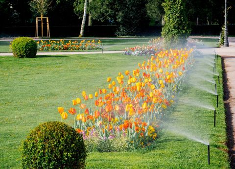 Irrigation system for garden