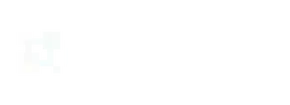 NewsBock white logo