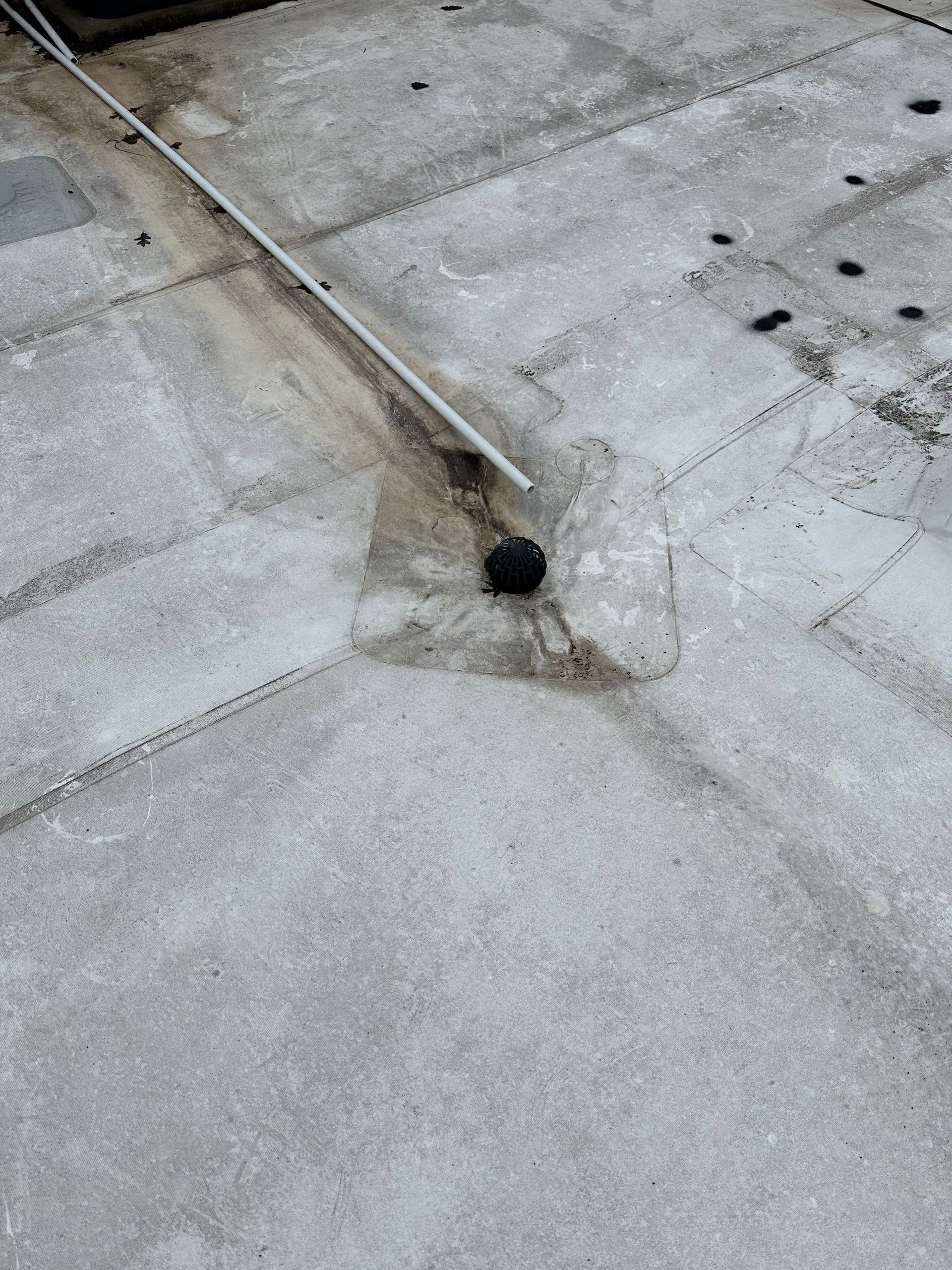 A person is cleaning a concrete floor with a broom.