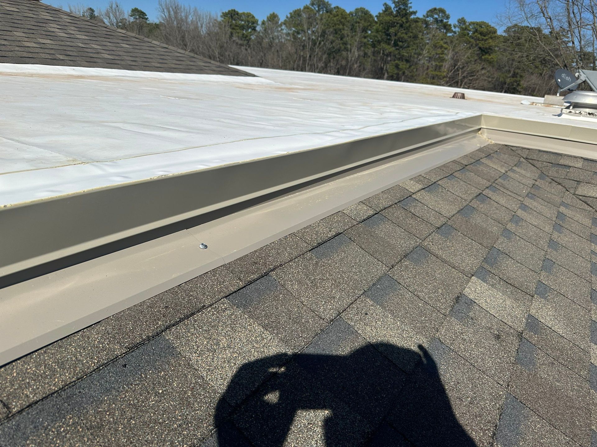 A person 's shadow is cast on the roof of a building.