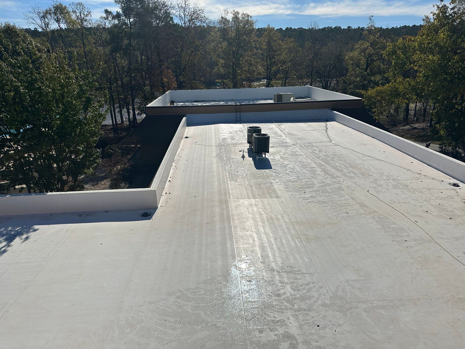 A white roof with trees in the background on a sunny day