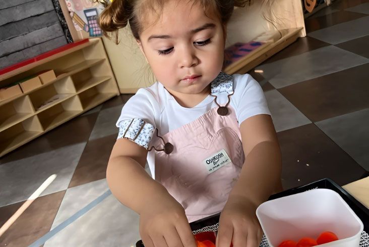 Montessori child concentrating on a fine motor transfer activity.