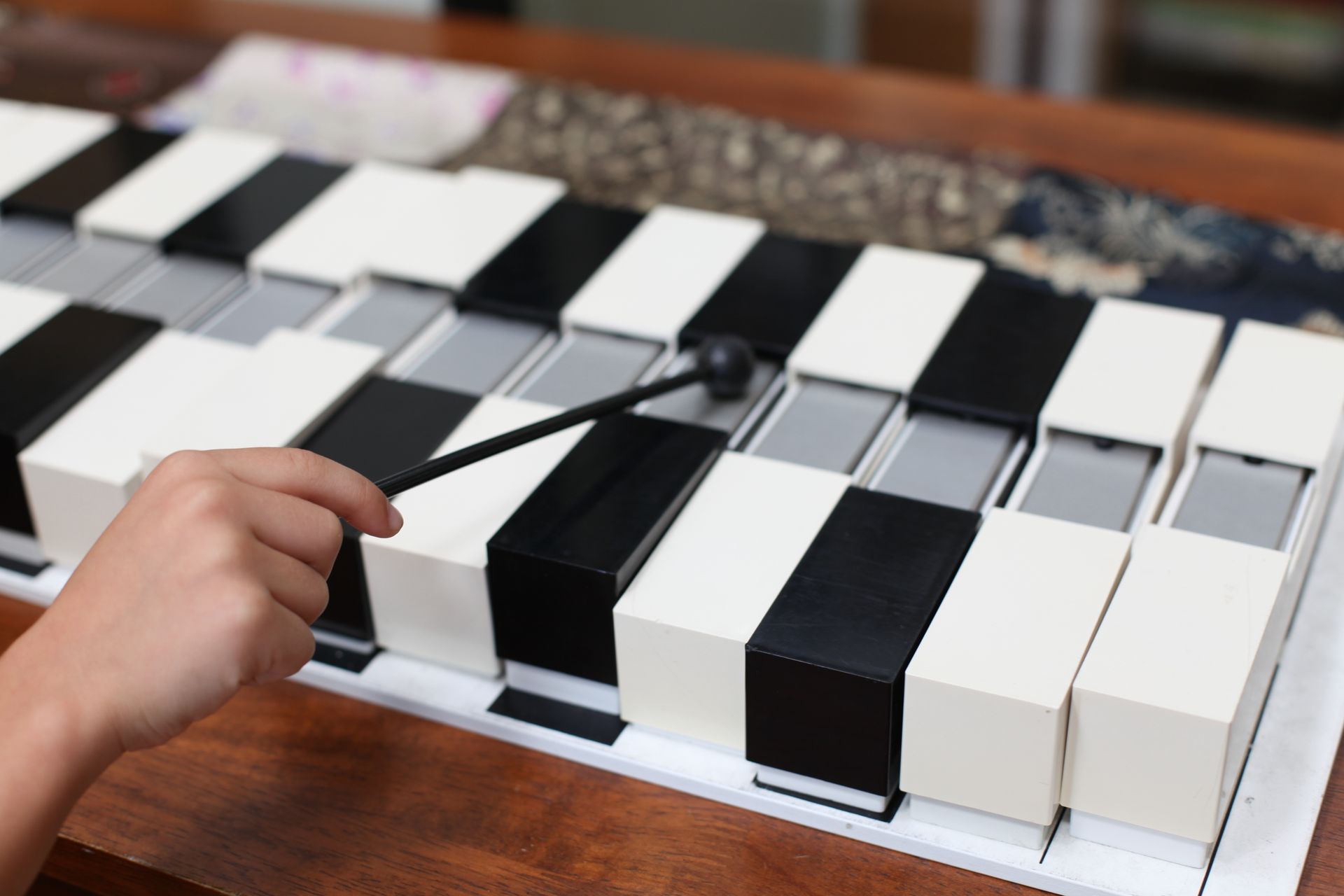 Montessori tone bars.