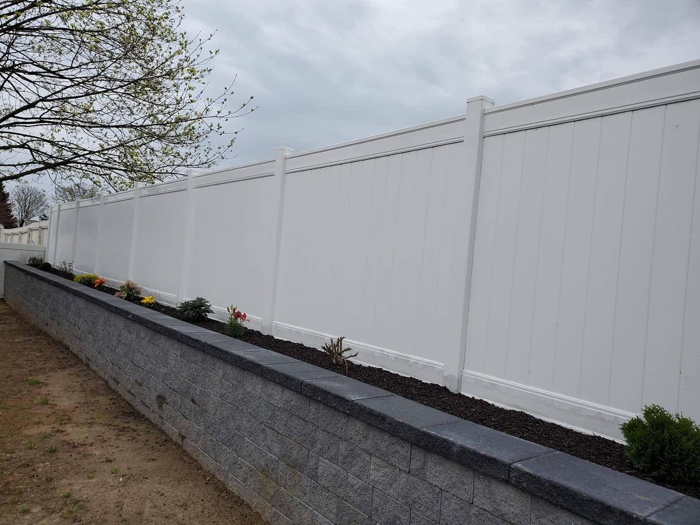 tree planting and fences