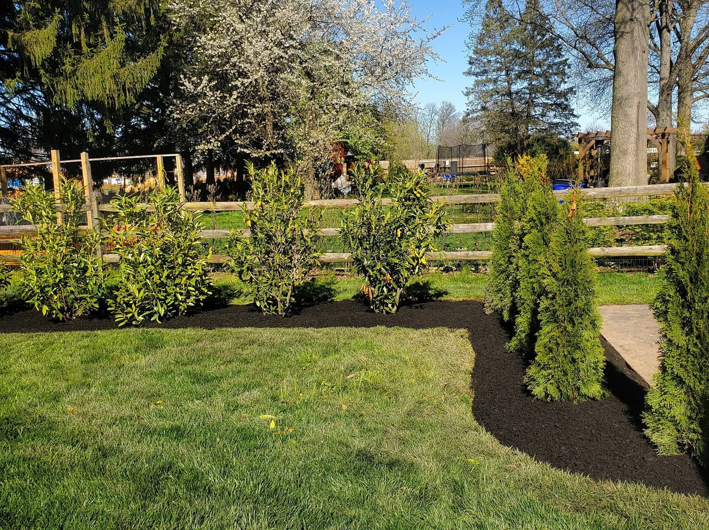 tree planting and fences